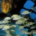 grunt_french_dome_nwp_h_0651_tci2845.jpg